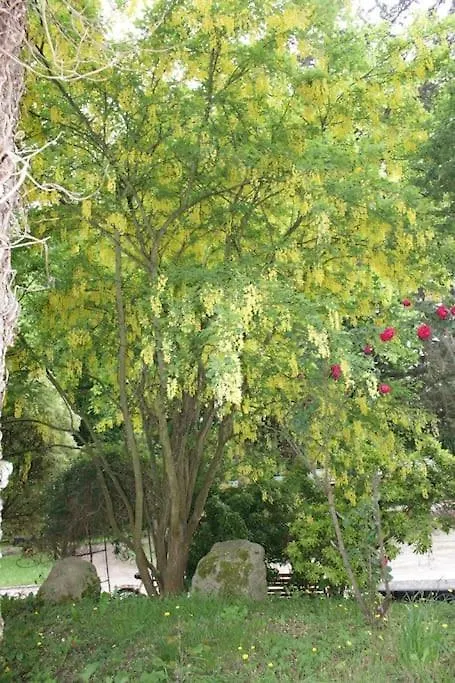 Ty Daou - Gites Du Vieux Tilleul Treglamus 0*,  France